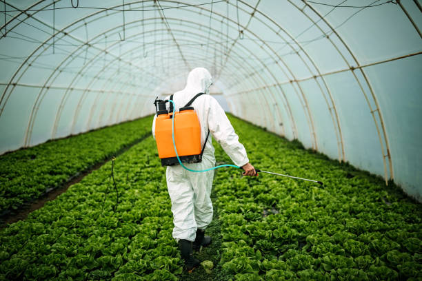 Best Pest Prevention Services  in Brooklet, GA