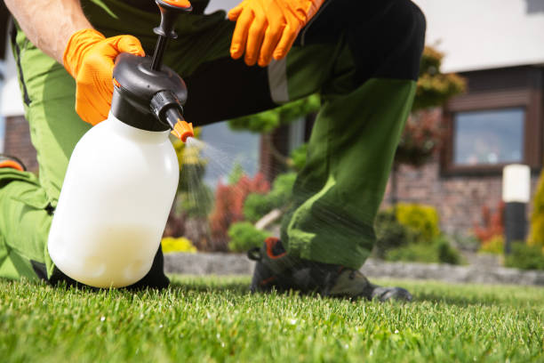 Best Bed Bug Extermination  in Brooklet, GA