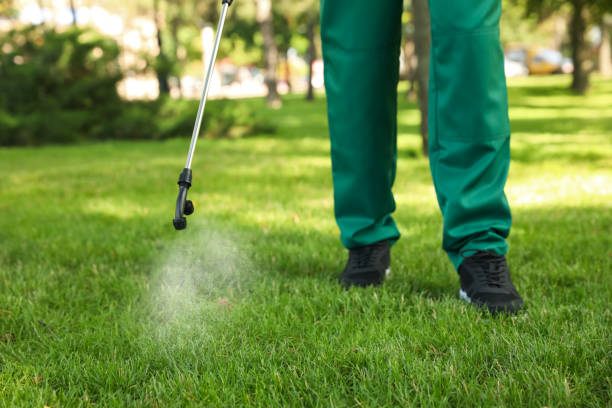 Pest Prevention Services in Brooklet, GA