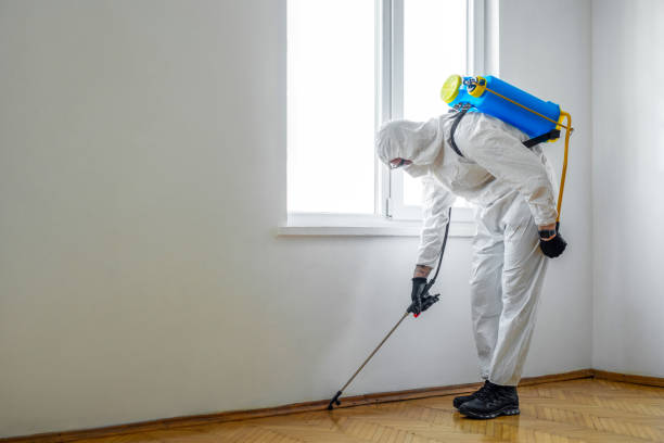Trusted Brooklet, GA Pest Control Experts