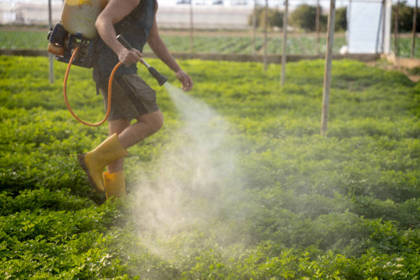 Reliable Brooklet, GA Pest Control Solutions