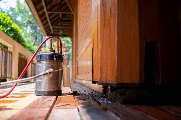 Best Cockroach Control Services  in Brooklet, GA