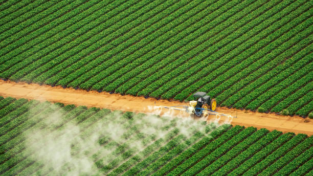Best Pest Control Near Me  in Brooklet, GA