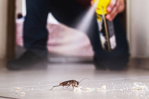 Best Residential Pest Control  in Brooklet, GA